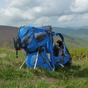 Рюкзак для перенесення дітей Ferrino Wombat 30 Blue