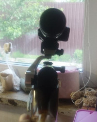 Кронштейн Мольфар СКС А40 с планкой пикатинни