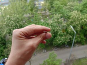 Мушка оптоволоконная красная Truglo D=2мм, длина волокна 70мм