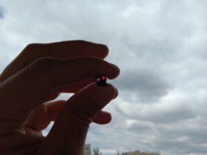 Мушка оптоволоконная красная Truglo D=2мм, длина волокна 70мм