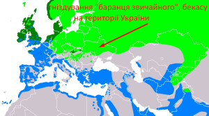 Манок на бекаса (баранець звичайний) Hubertus/Хубертус 446 Німеччина