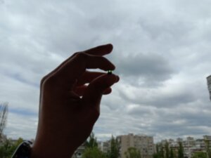 Мушка оптоволоконная зеленая Truglo D=2мм, длина волокна 70мм