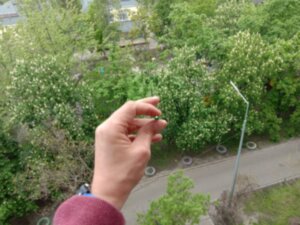 Мушка оптоволоконная зеленая Truglo D=2мм, длина волокна 70мм