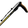 Треккинговые палки Vipole Walker 100 QL Brown
