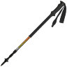 Треккинговые палки Vipole Challenge AS Eva Long